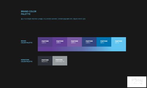 虛實(shí)交融，智啟未來(lái)——虛擬現(xiàn)實(shí)人工智能開(kāi)發(fā)公司VI設(shè)計(jì)探索